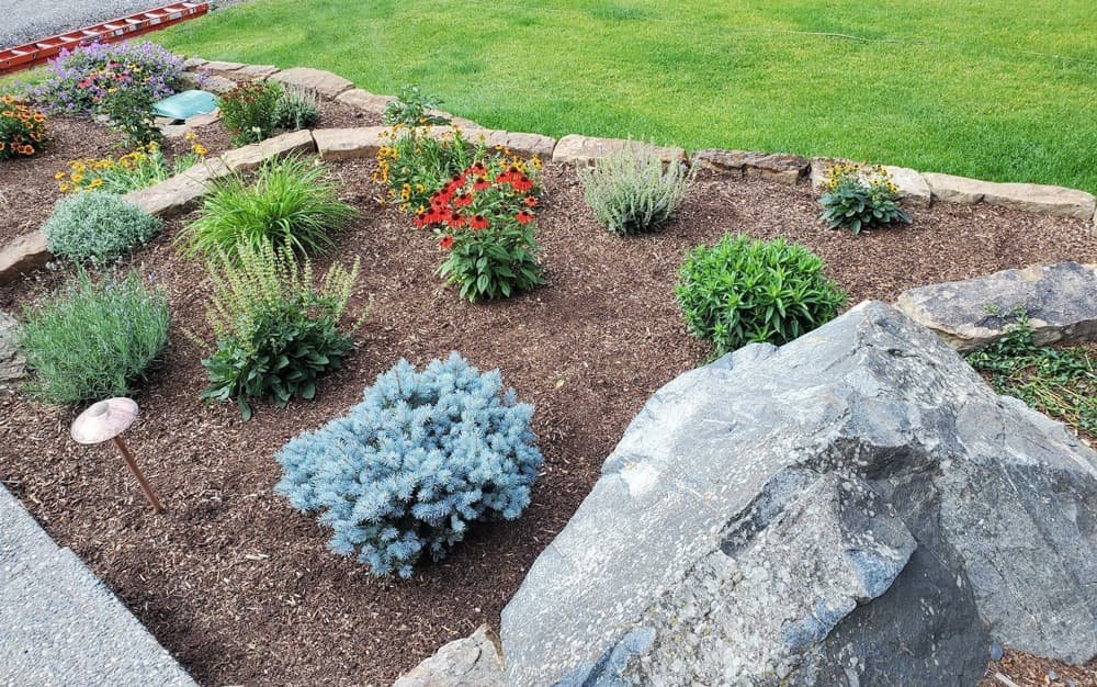 Maintenance Tips For Your Landscape