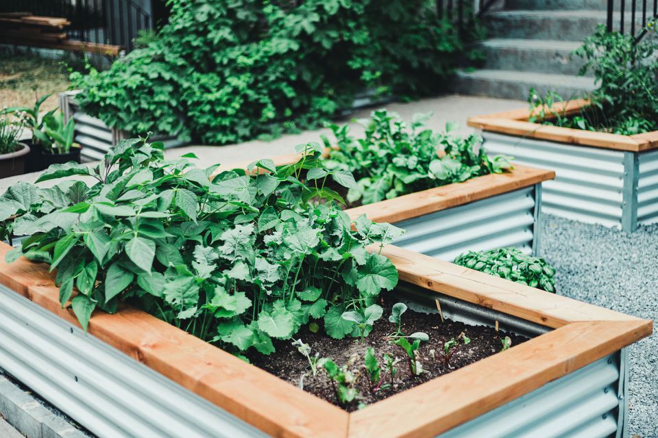 Gardening