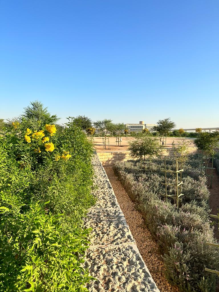 The Ultimate Guide to Softscape Landscaping in Riyadh