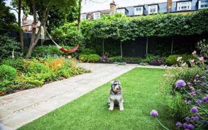 How to design a pet-friendly landscape