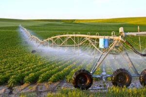 What Are the Environmental Impacts of Irrigation in Saudi Arabia