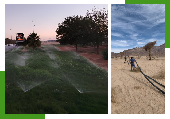 Irrigation Company Saudi Arabia