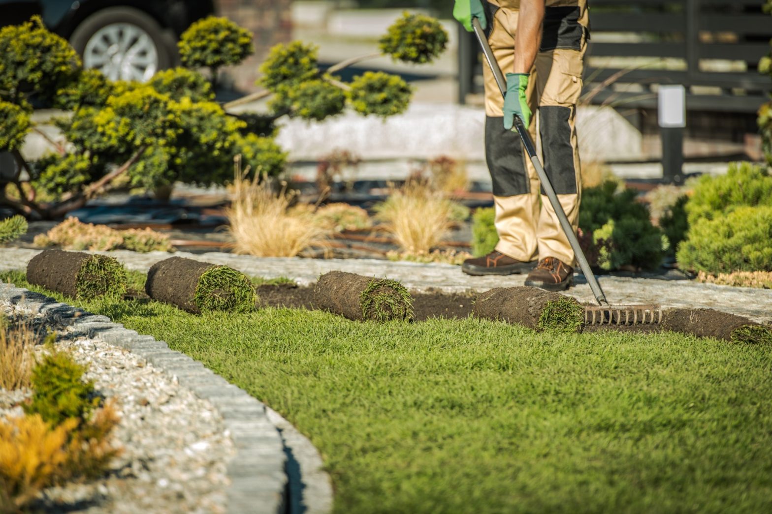 The Importance of Professional Landscaping for Homeowners