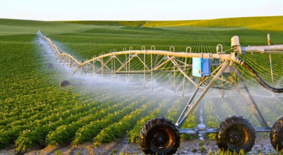 The Role of Technology in Riyadh’s Irrigation Landscape