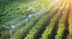 How to Reduce Water Waste with Irrigation Systems in Riyadh