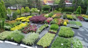 What Are the Key Elements of a Nursery Landscape