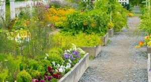 How to Plan a Nursery Landscape for Eco-Friendly Gardening