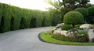 What Are the Trends in Riyadh Landscaping?