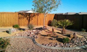 How to Maintain Your Landscape in Arid Conditions